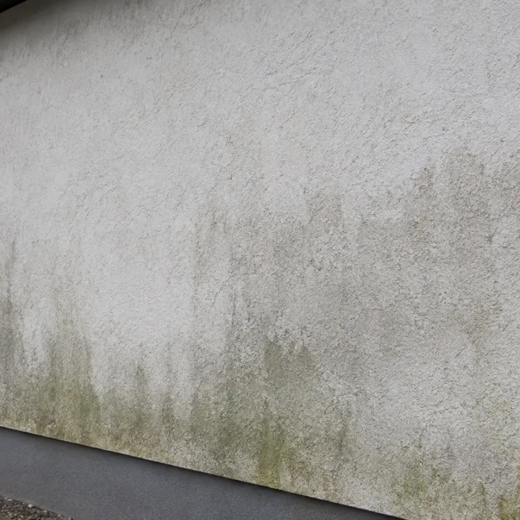 Dlaczego elewacja szybko się brudzi